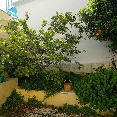 Archontiko Pataka Apartman Rhodes City Kültér fotó