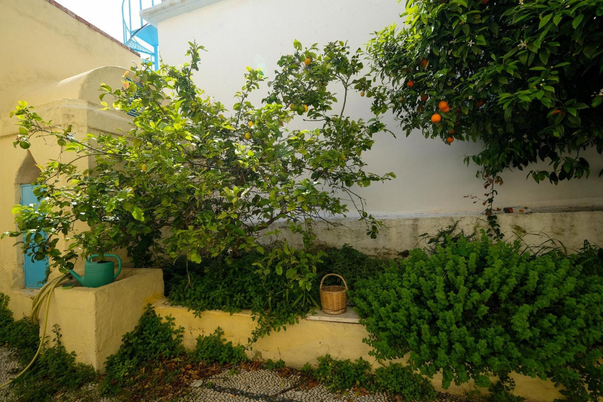 Archontiko Pataka Apartman Rhodes City Kültér fotó