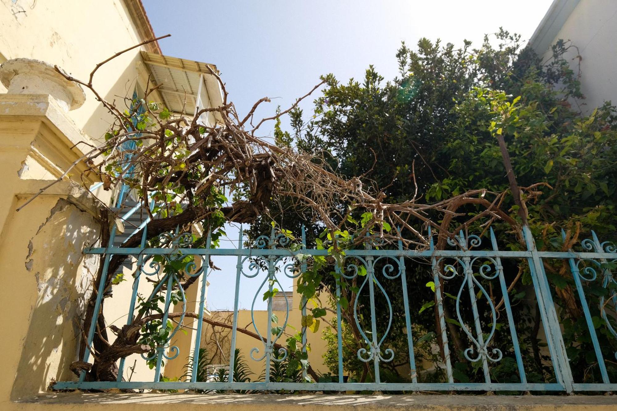 Archontiko Pataka Apartman Rhodes City Kültér fotó